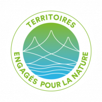 logo_TEN_transp_500